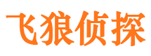 龙泉市调查公司